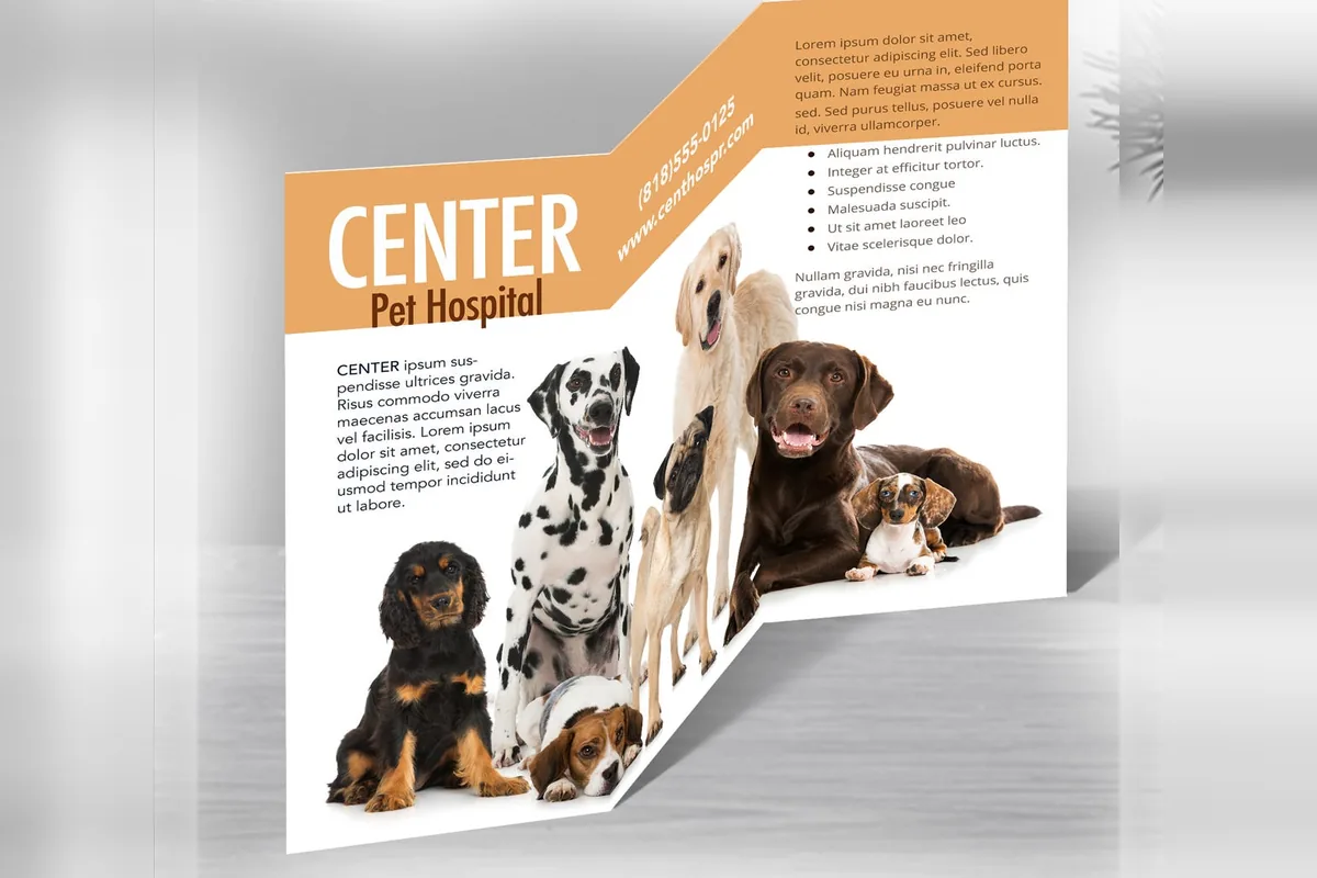 Z-fold brochure